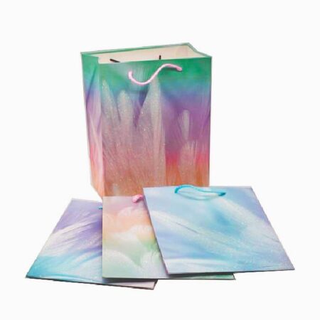 Set de 12 pungi, Feather