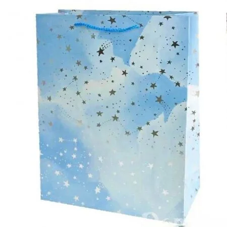 Set de 12 pungi,18x23x10 cm, Star