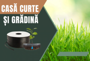 Casă curte și grădină